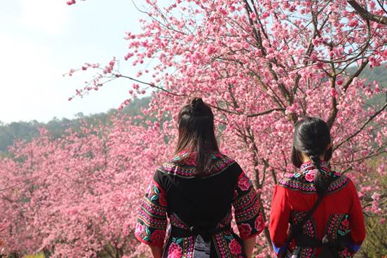 微信图片_20230415105802